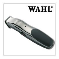 신랑의 들러리 - WAHL