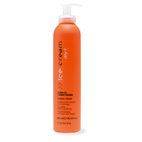 Leave-In Conditioner  - INEBRYA